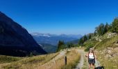 Excursión Senderismo Samoëns - SAMOENS: BOSTAN - GOLESE - Photo 13