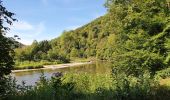 Tour Wandern Vresse-sur-Semois - rando laforêt 6/08/2020 - Photo 9