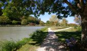 Trail Walking Veuzain-sur-Loire - Onzain - GR3 Chouzy-sur-Cisse GR353B - 24.7km 250m 5h45 (30mn) - 2022 09 18 - Photo 5
