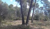 Excursión Senderismo Clapiers - Clapiers pinède de  Baillardet - Photo 2