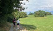 Tocht Stappen Plateau-des-Petites-Roches - Cascade du Douix - Photo 11