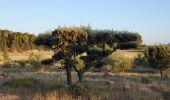 Tocht Stappen Laure-Minervois - Oui mon Capitelle ! 4 niveaux possibles - Photo 5