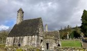 Tocht Stappen The Municipal District of Wicklow - Glendalough  - Photo 2