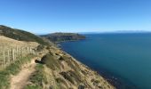 Excursión A pie Unknown - Paekakariki Escarpment - Photo 8