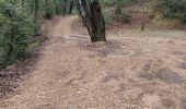 Trail Walking Flayosc - reconnaissance berne circuit jaune  - Photo 14