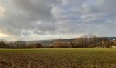 Tocht Stappen Esneux - esneux . evieux . fontin . avionpuits . château le fy . esneux  - Photo 1