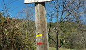 Trail Walking Seillans - 20190323 Seillans reco partielle  - Photo 5