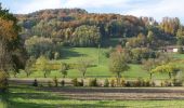 Trail On foot Winterthur - Hardau - Blindensteg - Photo 2