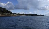 Trail Motorboat Locmariaquer - 2023-09-22 golfe du morbihan croisière avec l'angélus - Photo 5