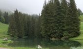 Trail Walking Vacheresse - Ubine Mousse Bise - Photo 1