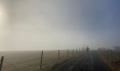 Trail Walking Recoules-d'Aubrac - Pont gourmier Recoules Nasbinals Le Bes - Photo 7