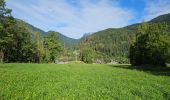 Tocht Stappen Les Houches - J7 - Les Houches > Chamonix par le Chemin des Villages - Photo 2