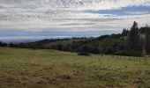 Randonnée Marche Verrières-en-Forez - Au dessus de Verriéres en Forez  - Photo 12