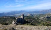 Tocht Stappen Plan-d'Aups-Sainte-Baume - Tour Cauvin, Dent de Roque Forcade, grotte de la Grande Baume - Photo 6