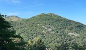 Randonnée Marche Peille - Peille : Cime du Baudon et Mont Ours - Photo 3