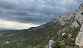 Trail Walking Puyloubier - Ste victoire  - Photo 5