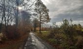 Tocht Stappen Malmedy - xhoffray .reinhardstein . carrière de la wache  . xhoffray  - Photo 20