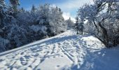 Tocht Sneeuwschoenen Lans-en-Vercors - départ les barnes Lans - Photo 3