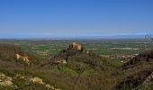 Tour Zu Fuß Quattro Castella - Percorso del Parco Bianello - Photo 5