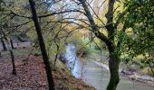 Trail Walking Vins-sur-Caramy - Vins sur Caramy-13-11-2024  - Photo 2