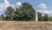 Tocht Te voet Gemeinde Mistelbach - Kettlasbrunn: Rundwanderweg Satzer Hölzl - Photo 6