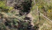 Trail Walking Pluherlin - Rochefort en terre - Photo 11