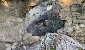 Tour Wandern Bollène - Chabrieres  - Photo 6