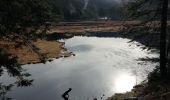 Tocht Stappen La Bresse - Tour du lac de Lispach - Photo 2