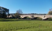 Tour Zu Fuß Crossen an der Elster - Mühlberg - Photo 4