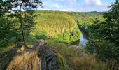 Trail Walking Florenville - Le Point de vue la Bohanan - Chassepierre - Photo 11