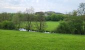 Tour Wandern Paliseul - Our Opont 090524 - Photo 15