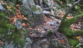 Trail Walking Dinant - freyr 1er aoÃ»t  - Photo 7