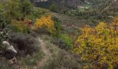 Trail Walking Le Pouzin - Balcon de l'Ouvèze  - Photo 9