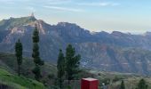 Trail Walking Tejeda - Pico de las Nieves (Gran Canaria) - Photo 1