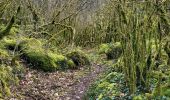Trail Walking Virieu-le-Grand - virieu - Cascades de Dard - Photo 4