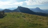 Excursión Senderismo Puértolas - Les Sestrales depuis le col de Plana Canal  - Photo 5