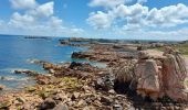 Excursión Senderismo Île-de-Bréhat - JOURNEE A L'ILE DE BREHAT - Photo 2