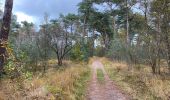 Trail Walking Woensdrecht - Volksabdij kalmthoutse Heide 22 km - Photo 12