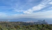 Tocht Stappen Cassis - Crêtes de la Ciotat  - Photo 19