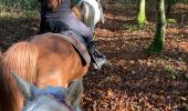 Trail Horseback riding Neuviller-lès-Badonviller - Ar direction angomont  - Photo 5