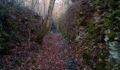 Trail Walking Vaire - ARCIER Sources ARCIER et Bergeret  - Photo 3