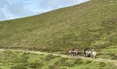 Trail Horseback riding Auritz - 2023 R2 J1 - Photo 12