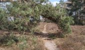 Trail Walking Zonhoven - limbourg  - Photo 10