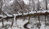 Trail Walking Spa - fagne de malchamp sous les premières neiges de 2025 - Photo 17