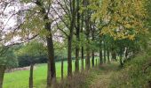 Percorso Marcia Blegny - A travers les champs de Blegny et ses environs  - Photo 2