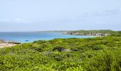 Tour Wandern Saint-François - Guadeloupe - Pointe des Châteaux (2024) - Photo 8