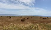 Trail Walking Otranto - Otranto  - Photo 11