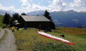 Randonnée Marche La Plagne-Tarentaise - Les Fours- belle rando facile - Photo 4