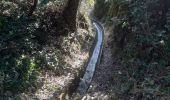 Tour Wandern Laroque-des-Albères - laroque . fontaine dels simino - Photo 10