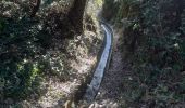 Excursión Senderismo Laroque-des-Albères - laroque . fontaine dels simino - Photo 10